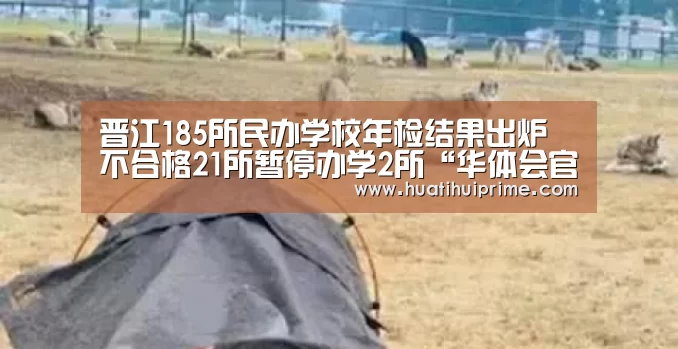 华体会下载