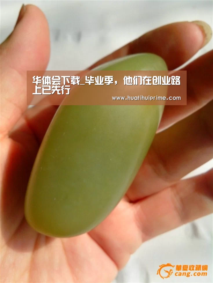 华体会下载_毕业季,他们在创业路上已先行(图1) 华体会导航