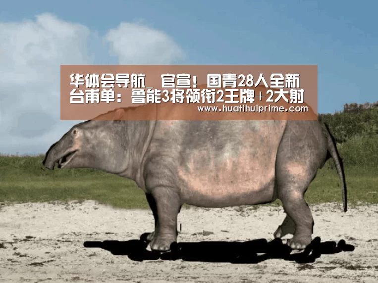 华体会导航_
官宣!国青28人全新台甫单:鲁能3将领衔2王牌+2大射手缺席(图2) 华体会游戏
