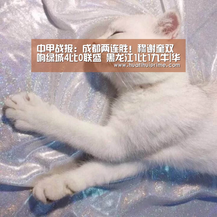 中甲战报:成都两连胜!穆谢奎双响绿城4比0联盛 黑龙江1比1九牛|华体会导航(图1) 华体会游戏
