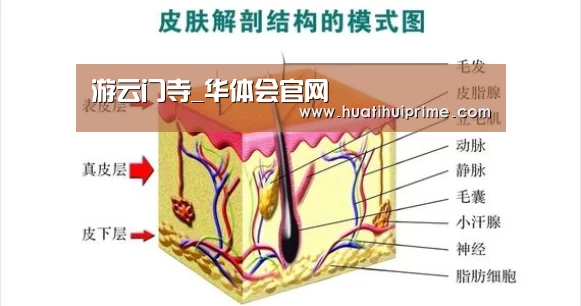 游云门寺_华体会官网(图2) 华体会导航