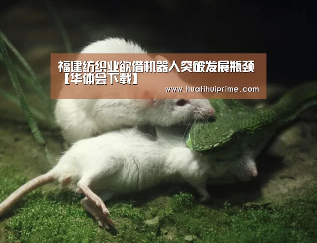 福建纺织业欲借机器人突破发展瓶颈【华体会下载】(图1) 华体会游戏