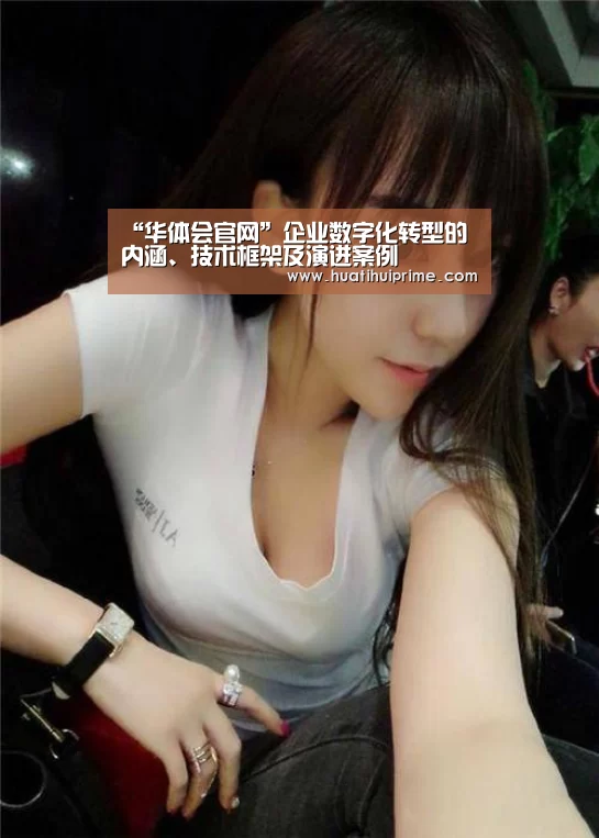 “华体会官网”企业数字化转型的内涵、技术框架及演进案例(图2) 华体会官网