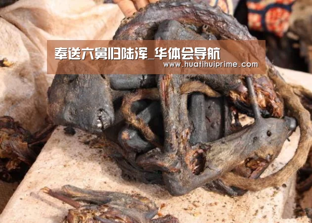 奉送六舅归陆浑_华体会导航(图1) 华体会下载